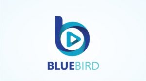 Blue Bird Media