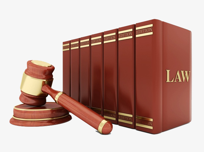 What is a Company in Nigeria Law
